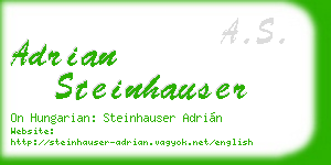 adrian steinhauser business card