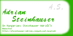 adrian steinhauser business card